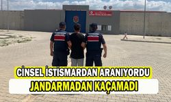 4 yıl 2 ay hapis cezasıyla aranan şahsı jandarma yakaladı   