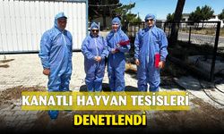 Başmakçı’da tavuk ve yumurta üretim merkezlerine yönelik denetim