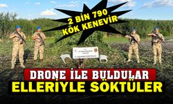 Sazlıkların arasına ekilen binlerce kök keneviri jandarma dron ile buldu