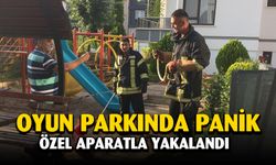 Çocuk oyun alanında yılan paniği