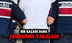 Hırsızlık suçundan aranan şahsı jandarma  kıskıvrak yakaladı