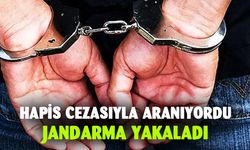 Hapis cezasıyla aranan şahsı jandarma yakaladı