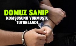 Komşusunu domuz sanarak vuran şahıs tutuklandı