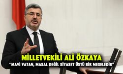 Milletvekili Ali Özkaya: "Mavi Vatan, masal değil siyaset üstü bir meseledir"