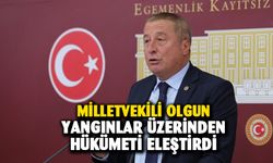 Milletvekili Olgun’dan çıkan yangınlarla ilgili eleştiri