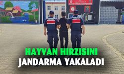 Afyonkarahisar’da kaçak hırsız yakalandı