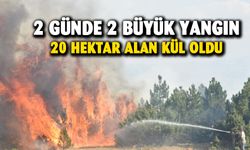 Afyonkarahisar'da 20 hektar alan kül oldu