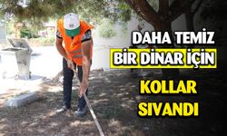 Temiz bir Dinar için kollar sıvandı