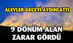 Eber Gölü’nde yangın: 9 dönüm alan zarar gördü