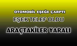 Eşeğe çarpan otomobilde 2 kişi yaralandı