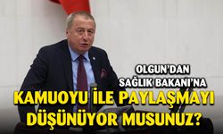 İYİ Partili Olgun soru önergesi verdi