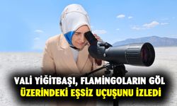 Vali Yiğitbaşı, flamingoların göl üzerindeki eşsiz uçuşunu izledi