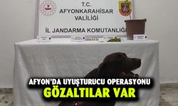 Afyonkarahisar'da uyuşturucu operasyonu gözaltılar var