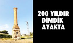 Tarlaların ortasındaki tarih, 200 yılı aşkın süredir ayakta