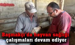 Başmakçı’da hayvan sağlığı çalışmaları devam ediyor