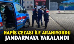 2 yıl 3 ay hapis cezasıyla aranan şahsı jandarma yakaladı