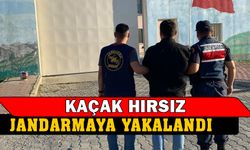 Afyonkarahisar'da kaçak hırsız yakalandı