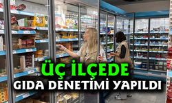 Toplum tüketim noktalarında gıda denetimi yapıldı