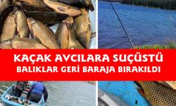 Afyonkarahisar'da kaçak avcılara suçüstü