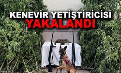 Afyonkarahisar’da esrar ve kenevir yakalandı