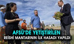 AFSÜ’DE YETİŞTİRİLEN REİSHİ MANTARININ İLK HASADI YAPILDI