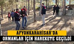 Afyonkarahisar’da ormanlar temizlendi