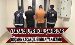 Yabancı uyruklu şahıslar göçmen kaçakçılığı yaparken yakalandı