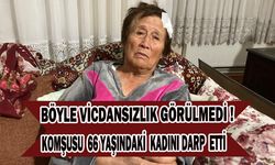 66 yaşındaki kadını sopa ve bisiklet ile acımasızca darp etti