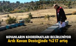 Arılı Kovan Desteği Artırılıyor