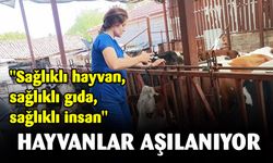 "Sağlıklı hayvan, sağlıklı gıda, sağlıklı insan"