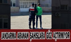 6 yıl 1 ay 6 gün hapis cezasıyla aranan şahsı jandarma yakaladı