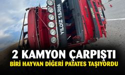 Afyon'da iki kamyon çarpıştı 1 ölü