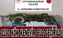 Jandarmadan uyuşturucu ve tarihi eser operasyonu