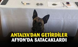 Jandarmadan zehir tacirlerine geçit yok