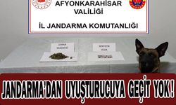 Jandarma uyuşturucu maddeler ele geçirdi