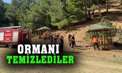 Afyonkarahisar'da ormanı temizlediler