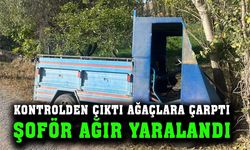 Ağaca çarpan patpat sürücüsü ağır yaralandı