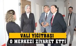 Vali Yiğitbaşı, Olgunlaşma Enstitüsü’nde incelemelerde bulundu