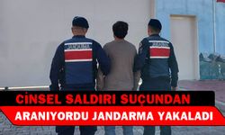 Basit cinsel saldırı suçundan aranan şahsı jandarma yakaladı