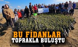 2024 fidan toprakla buluştu