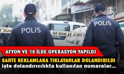 Siber dolandırıcılar yakayı ele verdi