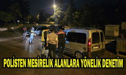 POLİSTEN MESİRELİK ALANLARA YÖNELİK DENETİM