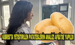 KIBRIS’TA YETİŞTİRİLEN PATATESLERİN ANALİZİ AFSÜ’DE YAPILDI