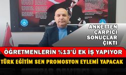 Türk Eğitim-Sen'den çarpıcı anket