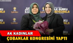 Çobanlar AK Parti Kadın Kolları kongresi coşkuyla gerçekleştirildi