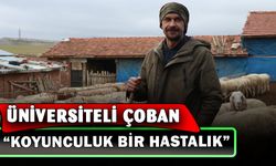 Üniversiteli çoban kış mevsiminde hayvan bakımının zorluklarını anlattı