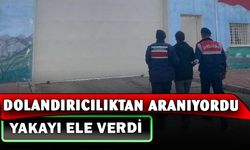 Dolandırıcılık suçundan aranırken jandarmaya yakalandı