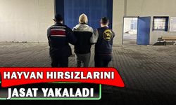 Büyükbaş hayvan hırsızlarını JASAT yakaladı