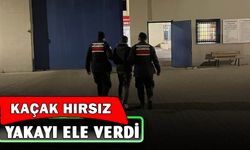 Hırsızlık suçundan aranan şahsı jandarma yakaladı