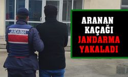 Kaçak şahısları jandarma yakaladı